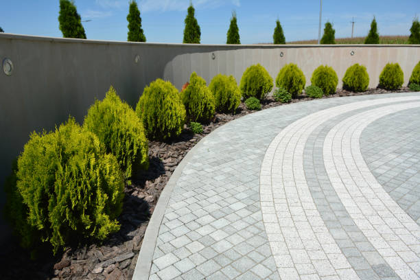 Best Commercial Driveway Pavers  in Trail Creek, IN